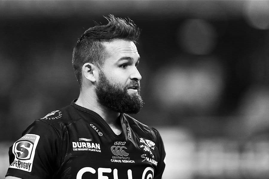 Rugby World Cup 2019 Cobus Reinach