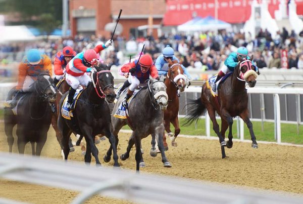 Hong Kong Horse Racing Happy Valley Betting Tips 20 May 2020