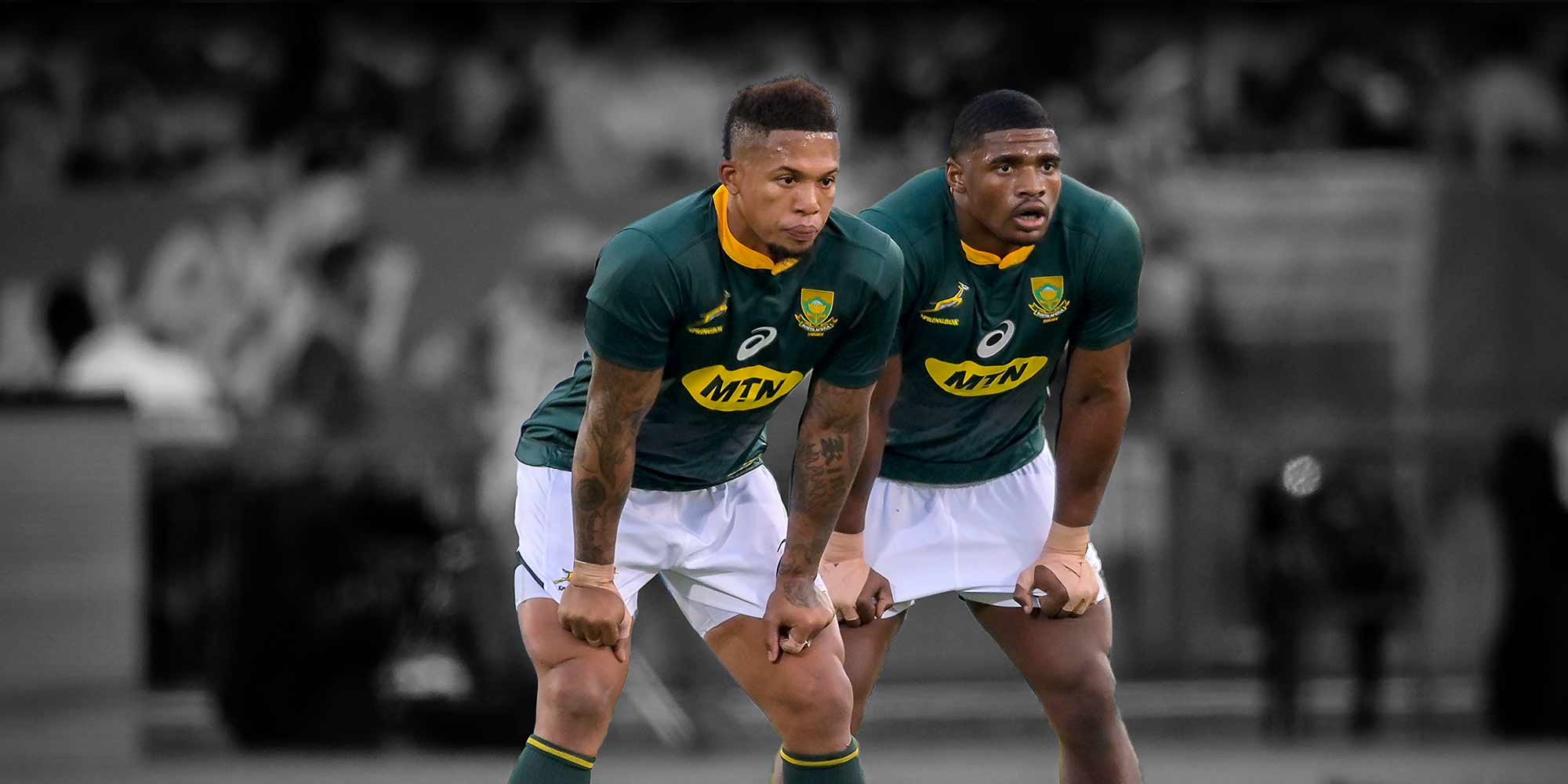 SPRINGBOK WORLD CUP SQUAD BACKS Bet Central