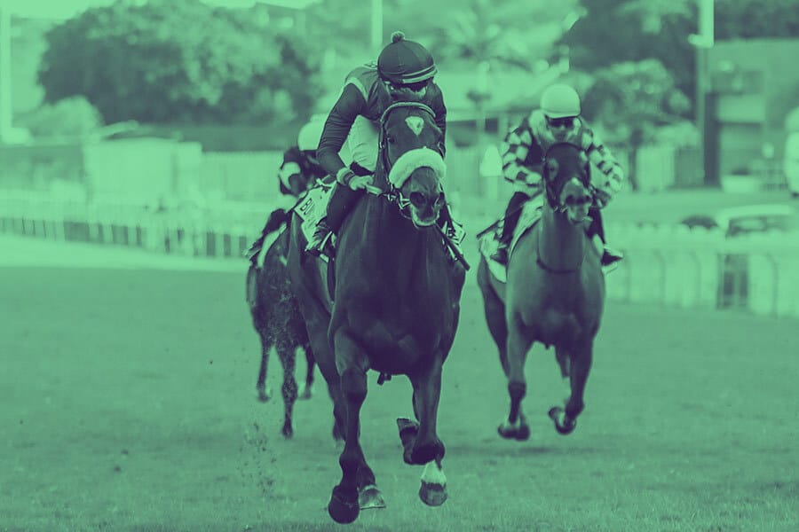 international horse racing betting terminology