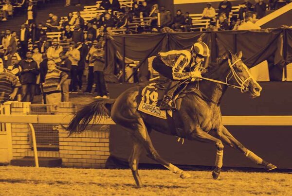 2020 durban july outsiders
