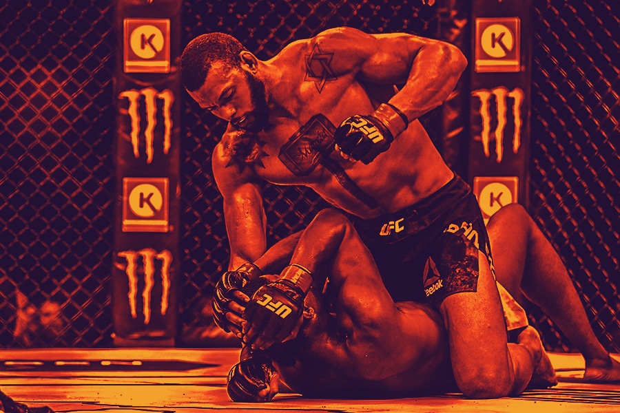 UFC Fight Night Predictions