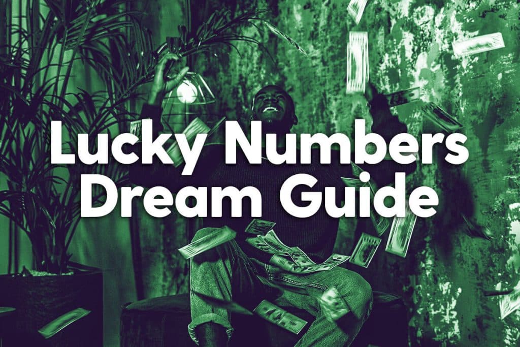 Lotto dream deals numbers guide