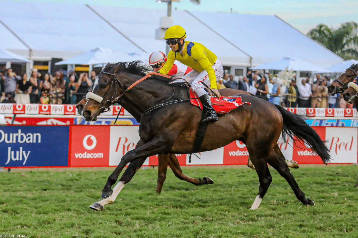 Horse Racing Tips Durban July