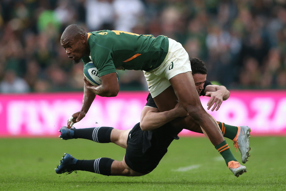 Springbok Players Spotlight All Blacks