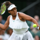 Wimbledon Open